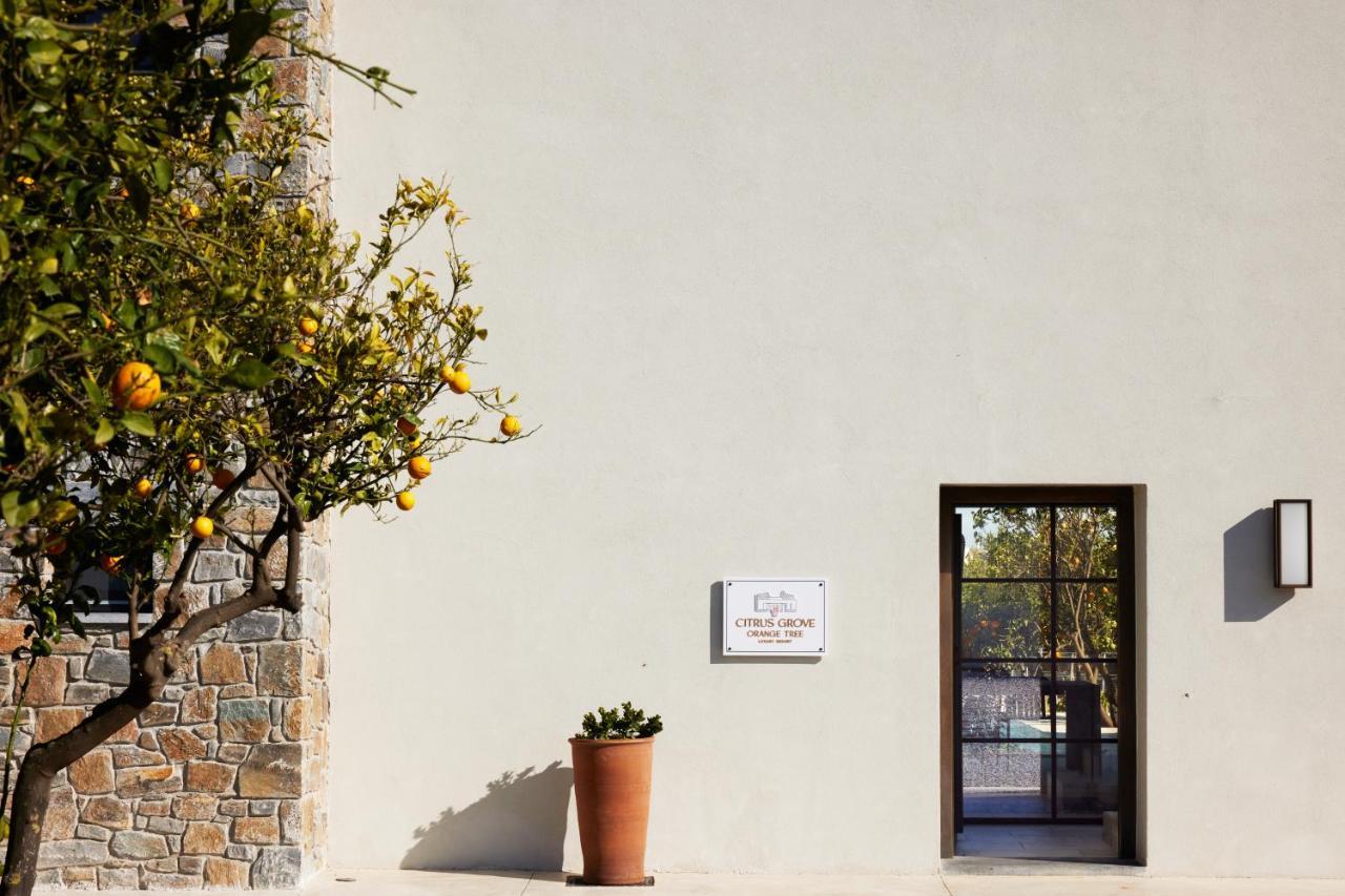 Citrus Grove Luxury Villas Skaleta Esterno foto